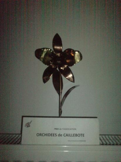   1er PRIX de l'orchidée de caillebotte 2010 pour mes tableaux de marqueteries